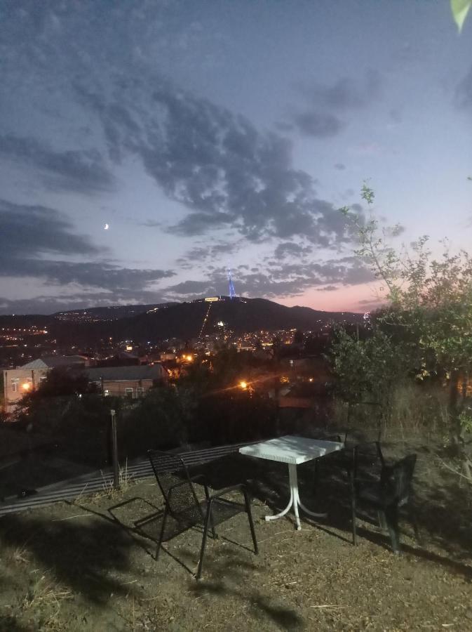 Panorama Of Tbilisi Hotel Bagian luar foto